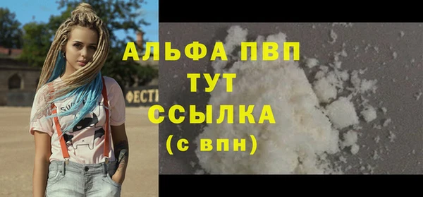 стаф Абинск