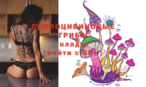стаф Абинск