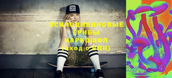 стаф Абинск