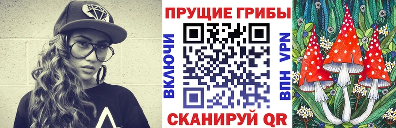 Галлюциногенные грибы GOLDEN TEACHER  omg   Сергач 